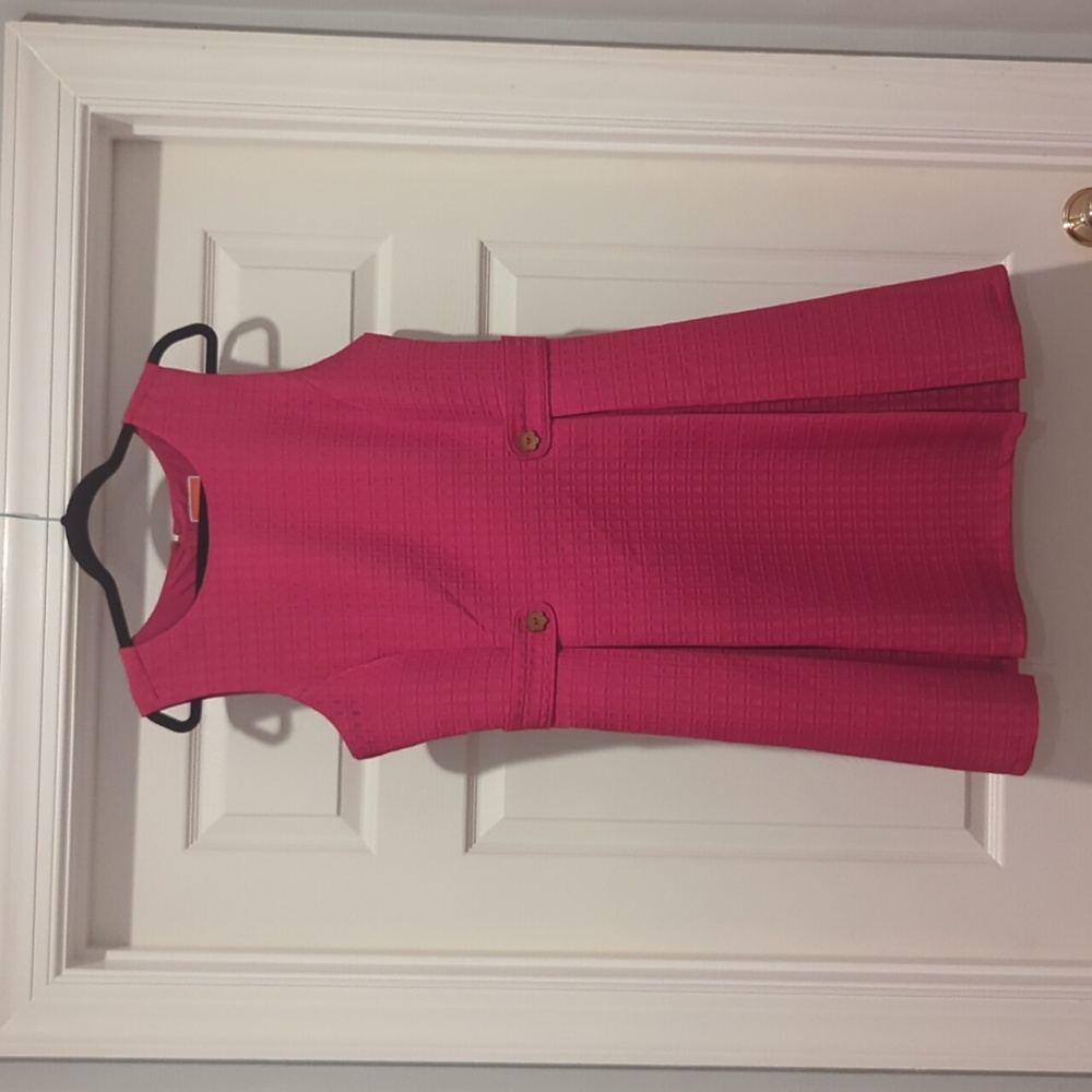 Princess cut crimson dress